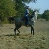 raymond_scott37